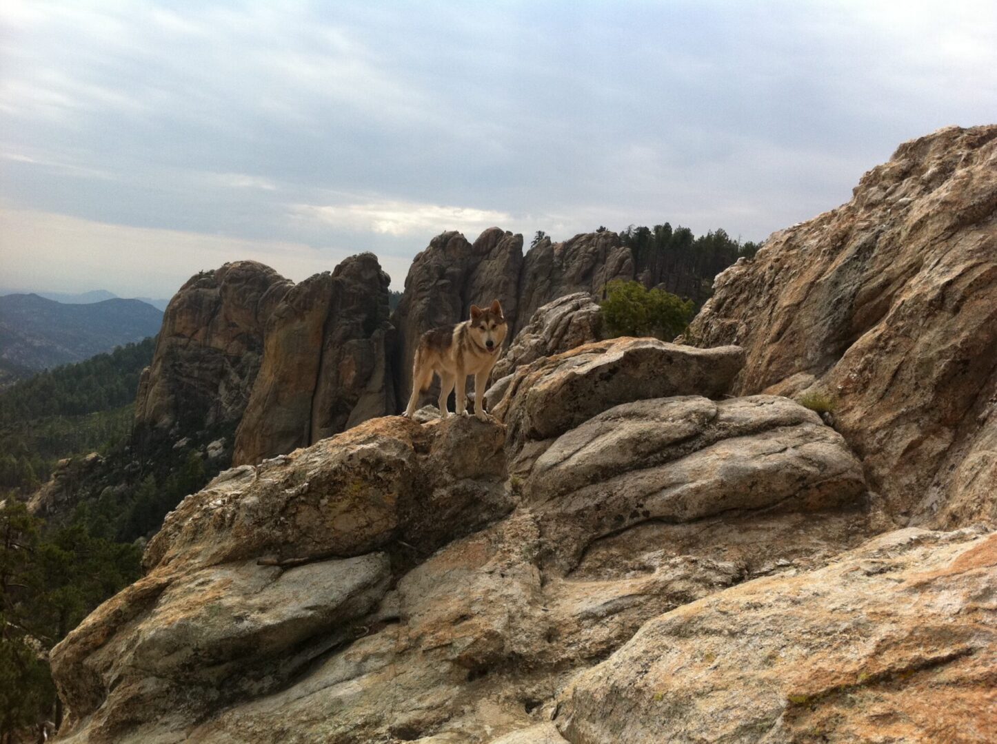 A view of some rocks on top of a mountain.